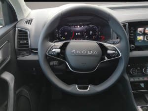Skoda Karoq 1.5 TSI Selection DSG GV5 AHK Navi ACC
