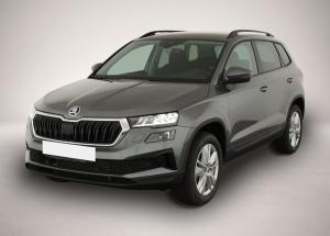 Skoda Karoq 2.0 TDI DSG 4×4 Selection, AHK, LED, Kamer