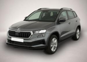 Skoda Karoq 2.0 TDI DSG 4×4 Selection, AHK, LED, Kamer