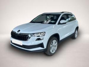 Skoda Karoq Selection 1.5 TSI Navi LED Kamera Tempo Wi