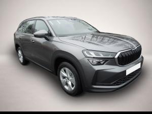 Skoda Kodiaq 2.0TDI DSG Selection/LED/AHK/Navi/Kamera