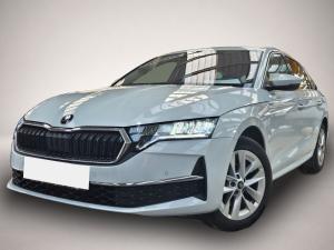 Skoda Octavia Combi 2,0 TDI el.Heckkl. SHZ vo.+hi. LHZ