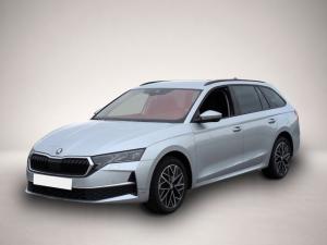 Skoda Octavia Combi TDI*DSG Matrix-LED ACC R-Kam Navi