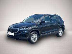 Skoda Other Karoq Selection TSI DSG|SHZ|PDC|SMARTLINK|TEMP