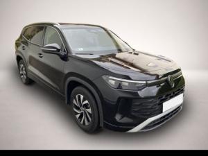 Volkswagen Tayron 1.5 eTSI Prime 7-Sitzer,LHZ,SHZ,ACC,IQ Light 11.