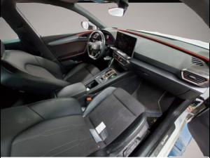 Cupra Leon 2.0 TDI DSG *LED*Navi*Paket XL*