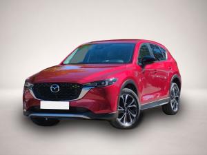 Mazda CX-5 2.5 SKYACTIV-G Newground AWD Automatik Navi