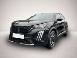 Peugeot 2008 BUSINESS HYBRID 110 e-DSC6