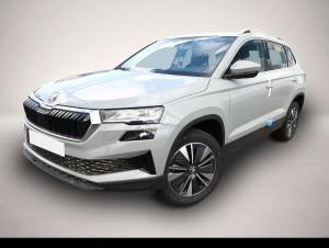 Skoda Karoq DSG Selec ACC Kam SideA SHZv/h Kessy SunS